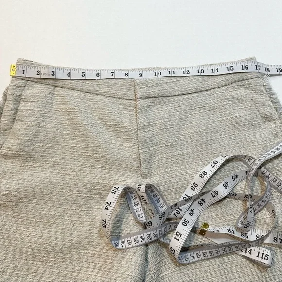 Banana Republic Ryan Shorts (B31#2) - Picture 11 of 13